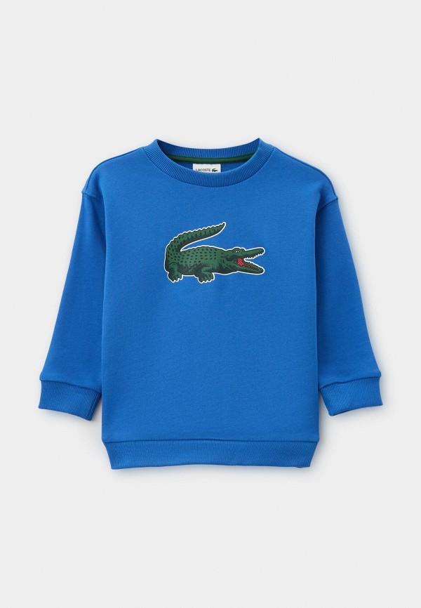 Свитшот Lacoste - цвет: синий, коллекция: мульти.