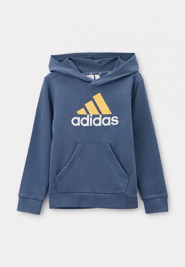 Худи adidas - цвет: синий, коллекция: мульти.