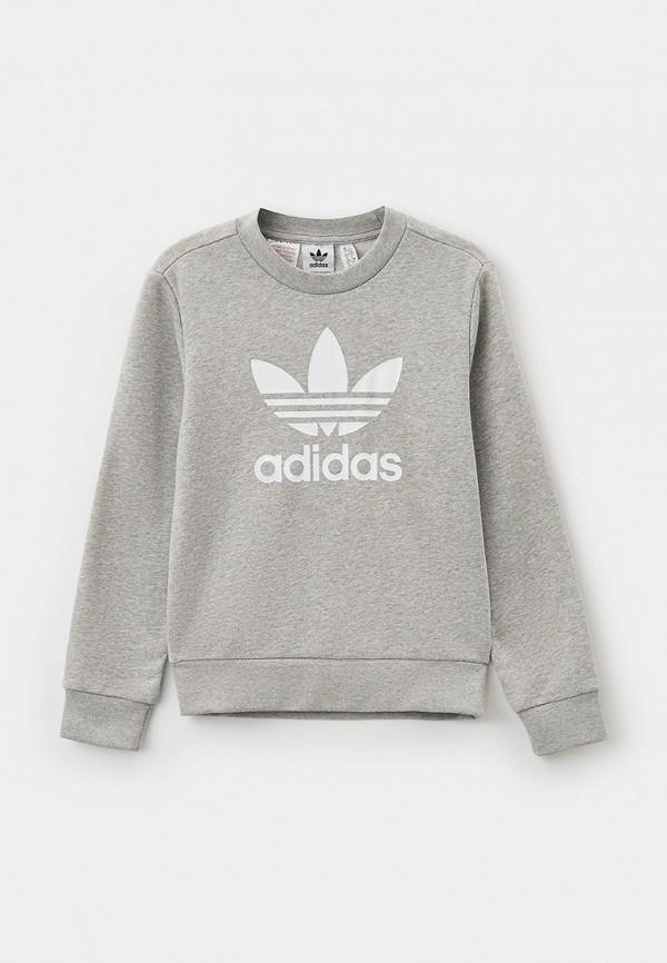 Свитшот adidas Originals - цвет: серый, коллекция: мульти.