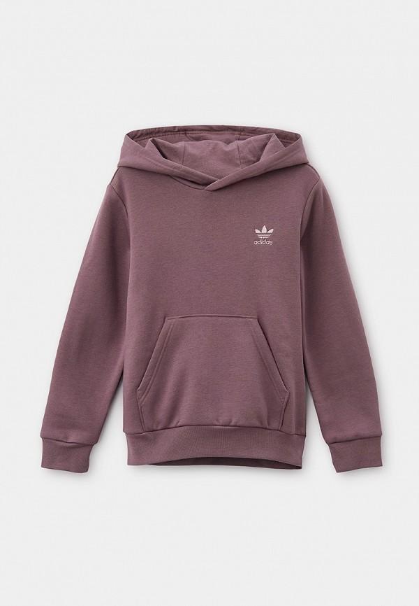 Худи adidas Originals - цвет: фиолетовый, коллекция: мульти.