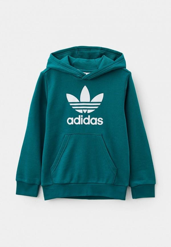 Худи adidas Originals - цвет: бирюзовый, коллекция: мульти.