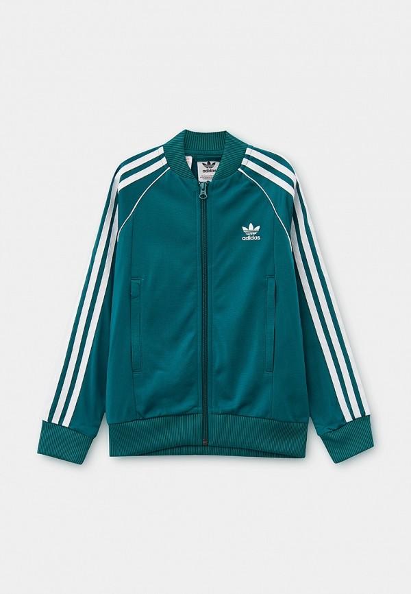 Олимпийка adidas Originals - цвет: бирюзовый, коллекция: мульти.