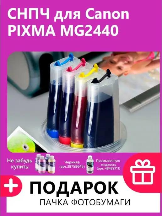 СНПЧ для Canon PIXMA MG2440