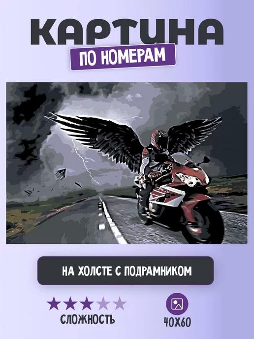 Картина по номерам на холсте "Крылатый гонщик" 40х60