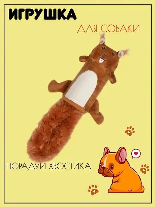 Игрушка для собак Белка CATCH & FETCH