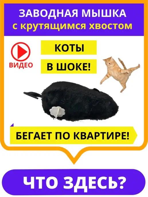 Интерактивная игрушка для кошек заводная мышка мышь