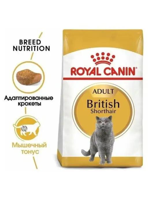 Royal Canin | British Shorthair Adult сухой корм для кошек 2 кг