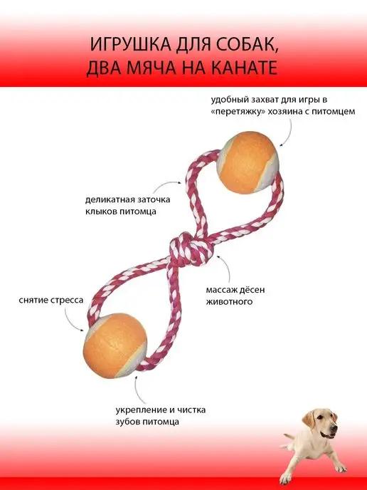 Игрушка - грызюка для собак для грызения, два мяча на канате