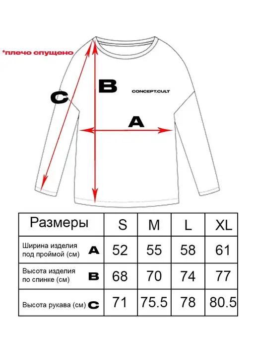 https://basket-09.wbbasket.ru/vol1203/part120305/120305593/images/c516x688/4.webp?r=2024-12-22