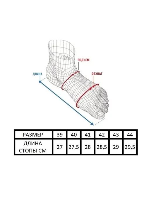 https://basket-09.wbbasket.ru/vol1230/part123051/123051177/images/c516x688/4.webp?r=2024-12-14