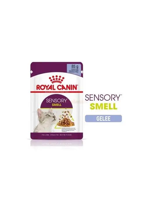 Sensory запах для взрослых кошек, кусочки в желе, 12х85г