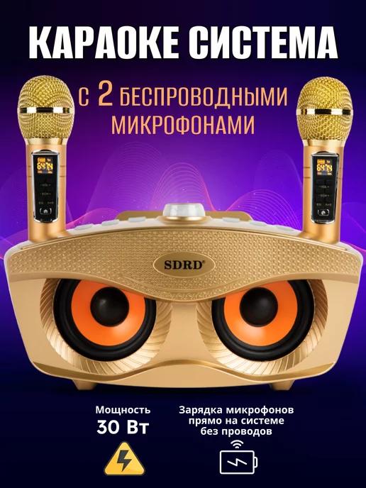 SDRD | Караоке система для дома беспроводная