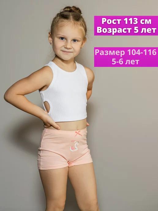 https://basket-10.wbbasket.ru/vol1502/part150226/150226739/images/c516x688/4.webp?r=2024-12-22