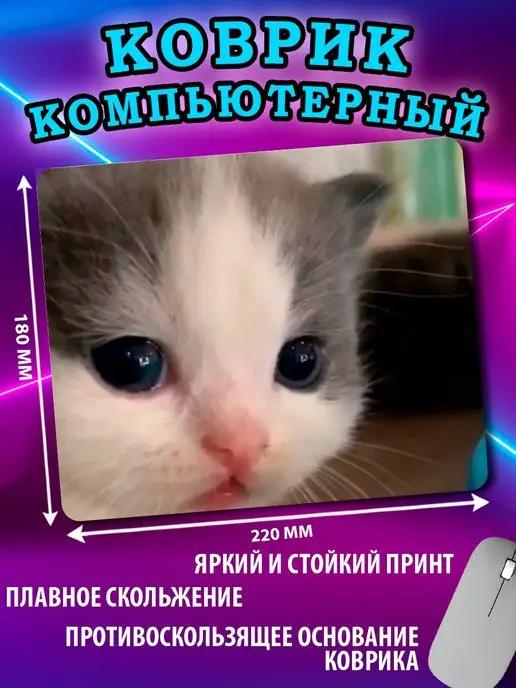 Кошка котик кот милый коврик для мыши