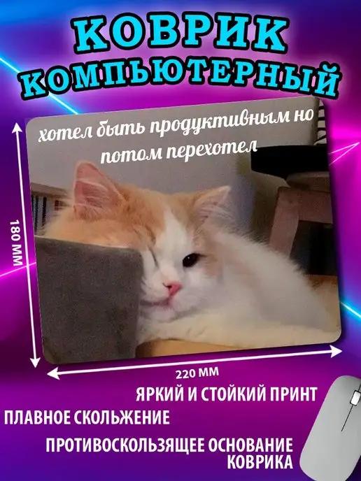 Кошка котик кот милый коврик для мыши