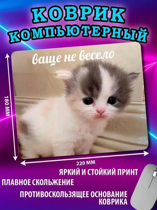 Кошка котик кот милый коврик для мыши