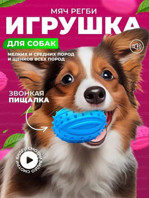 Игрушки для собак мячик