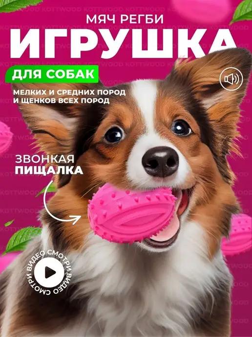 Игрушки для собак мячик