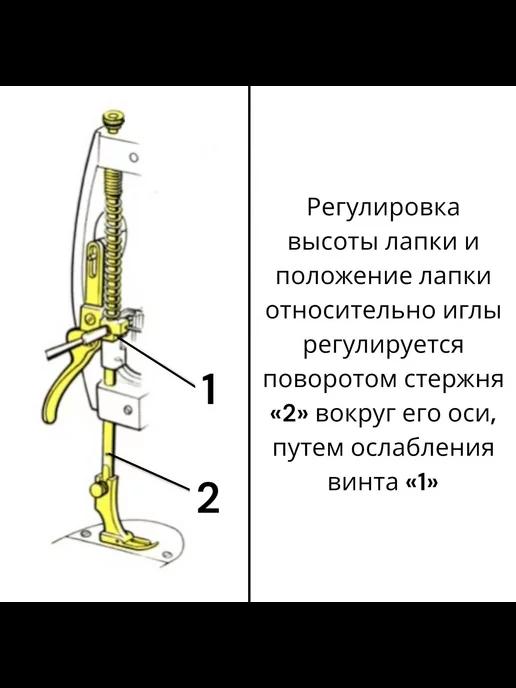 https://basket-12.wbbasket.ru/vol1656/part165696/165696648/images/c516x688/4.webp?r=2024-12-14