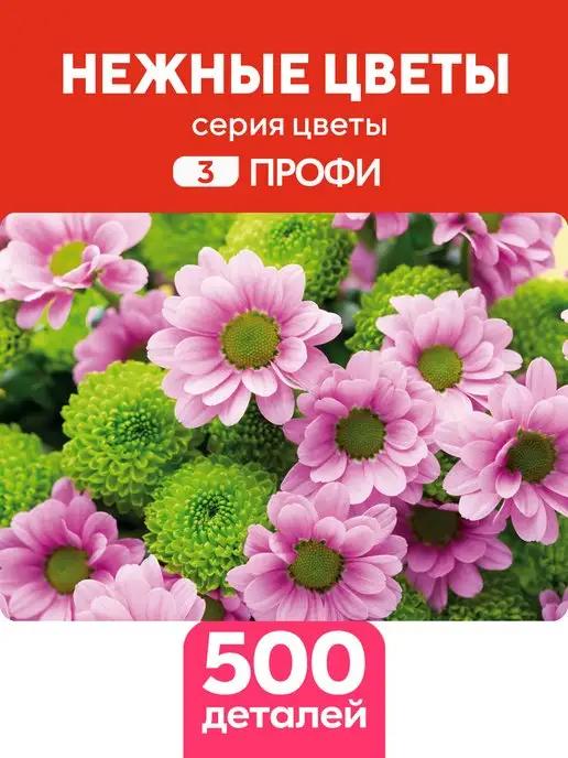 Деревянный пазл Нежные цветы 500 деталей Профи