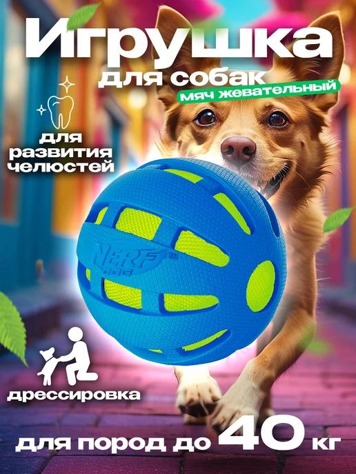 Игрушка для собак мяч Д9,6 см Nerf Dog