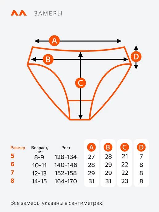 https://basket-12.wbbasket.ru/vol1726/part172684/172684708/images/c516x688/2.webp?r=2024-12-20