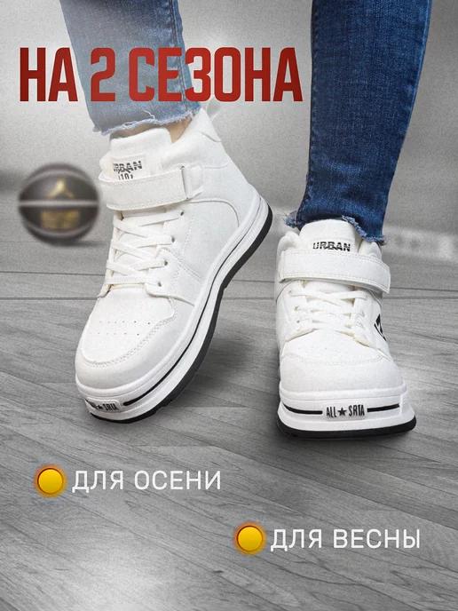 https://basket-12.wbbasket.ru/vol1750/part175084/175084969/images/c516x688/3.webp?r=2024-12-22