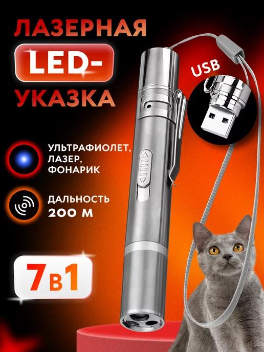 Лазерная указка USB, игрушка-дразнилка для кошки