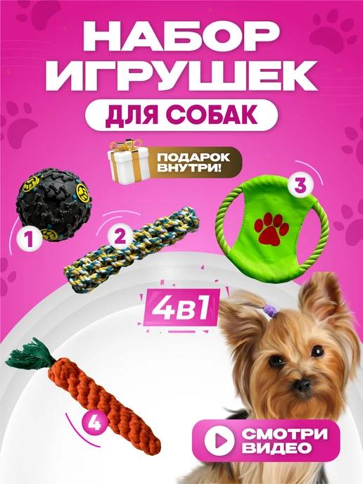 Игрушки для щенков и собак мелких и средних пород набор 4в1