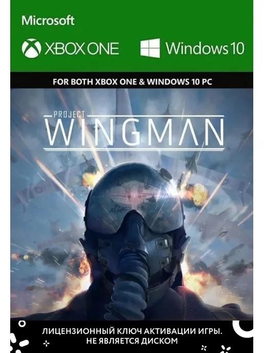 Игра Project Wingman для