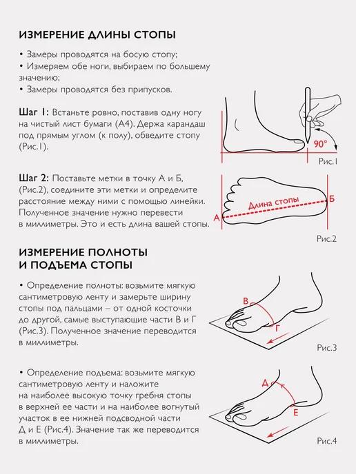 https://basket-12.wbbasket.ru/vol1836/part183699/183699579/images/c516x688/4.webp?r=2024-12-22