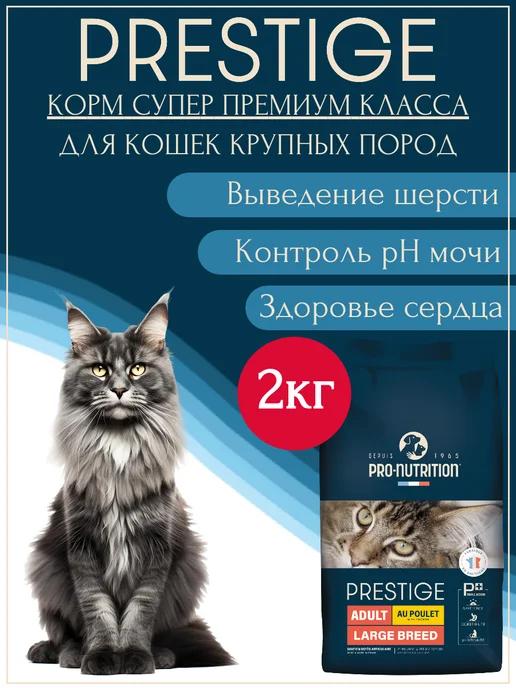 Flatazor | Сухой корм для кошек мейн-кун Maine Coon Adult 2 кг