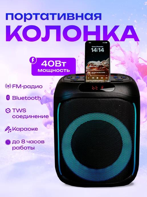 Портативная блютуз колонка с функцией караоке HX-L32