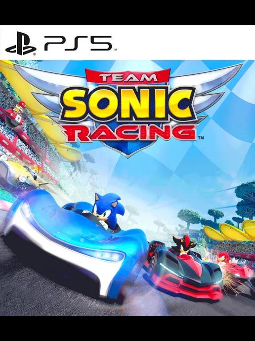 Игра Соник командные гонки | Игра Team Sonic Racing PS4 PS5