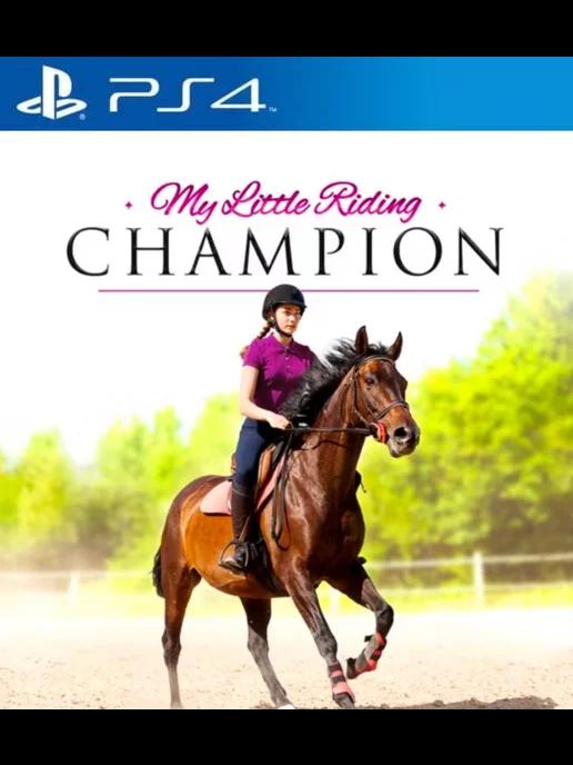 Игра Соник командные гонки | Игра My Little Riding Champion PS4 PS5