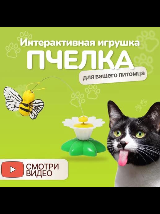 Игрушка для кошек интерактивная Пчелка