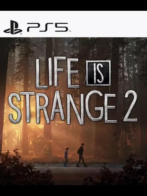 Игра Life is Strange 2 для Sony Playstation PS4 PS5