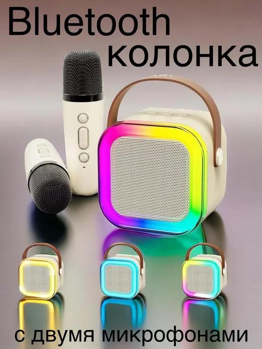 NOZIMM-TOP | Портативная колонка Bluetooth с караоке с двумя микрофонами