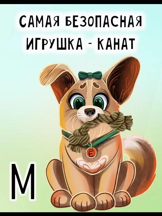 Игрушка для собак Канат из кокосового волокна M