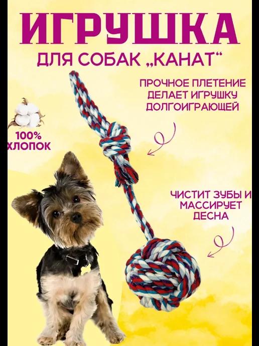 CherryPets | Канатик для собак