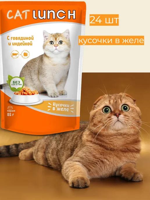 Cat Lunch | Корм для кошек Говядина и Индейка в желе 85 (24 шт)