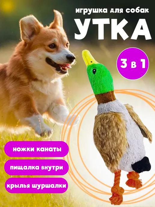 Игрушка для собак мелких и крупных пород