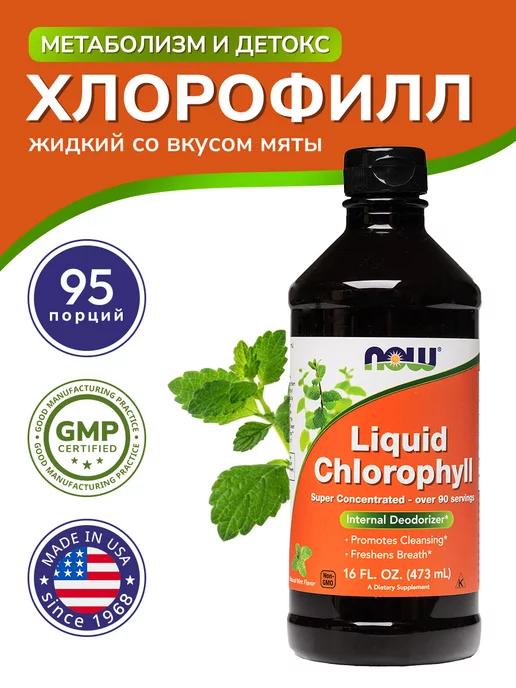 Хлорофилл мятный жидкий (Chlorophyll Mint) 473 мл, 95 порций