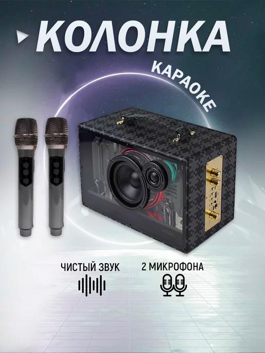 Портативная караоке колонка с двумя микрофонами