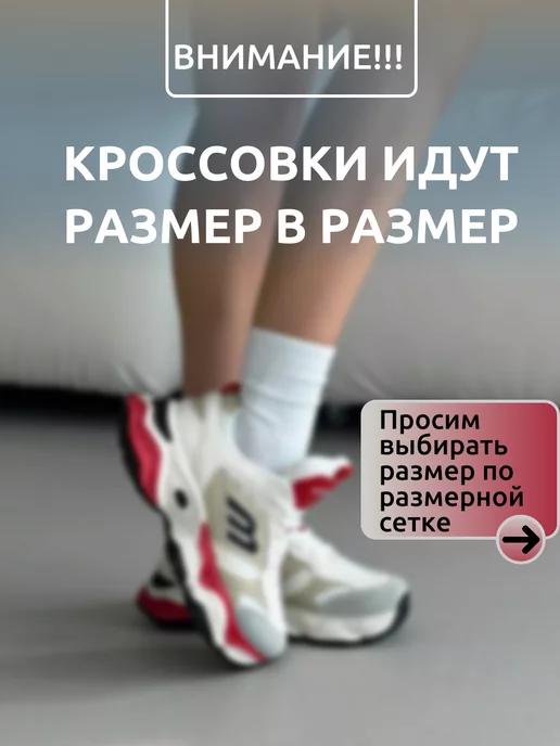 https://basket-14.wbbasket.ru/vol2165/part216504/216504300/images/c516x688/4.webp?r=2024-12-22