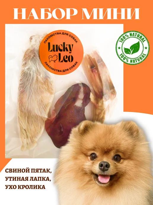 Lucky Leo | Ухо кролика, пятак свиной, утиная лапка