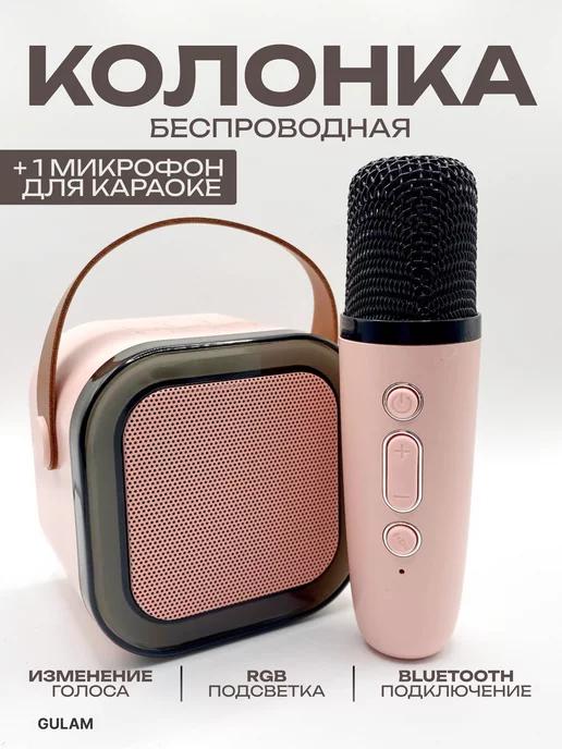 Портативная караоке система с микрофонами и подсветкой