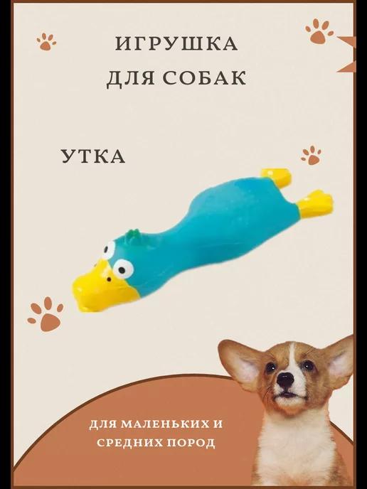 Игрушка для собак пищалка