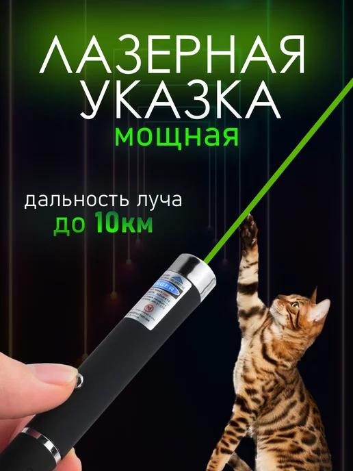 Лазерная указка игрушка для кошек и собак