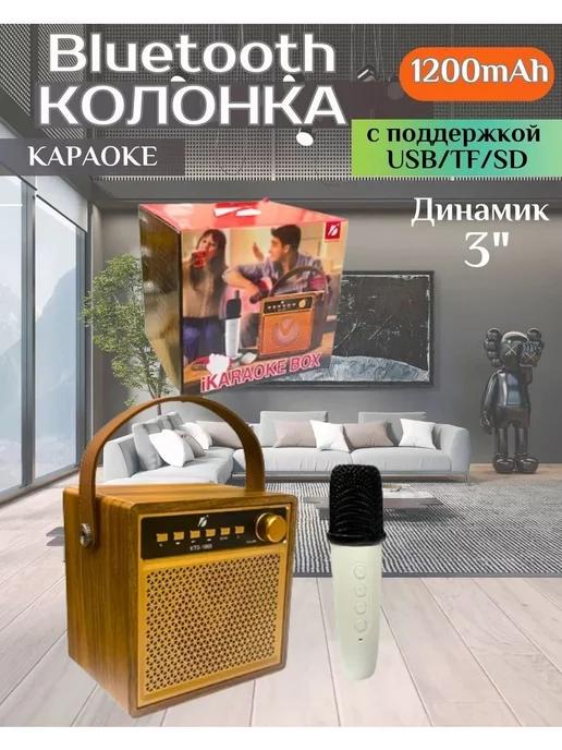 Портативная колонка Караоке с микрофоном